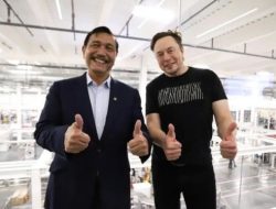 Soal Kelanjutan Investasi Elon Musk di RI, Luhut: Tunggu di G20