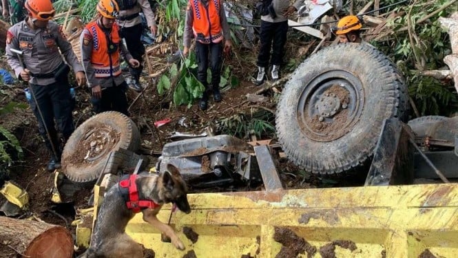 Tim K9 SAR Ditpolsatwa Polri kerahkan anjing pelacak cari korban gempa Cianjur.