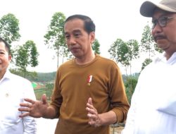 Warga Kecewa Ganti Rugi Lahan IKN Terlalu Murah, Jokowi Siapkan Opsi Ini