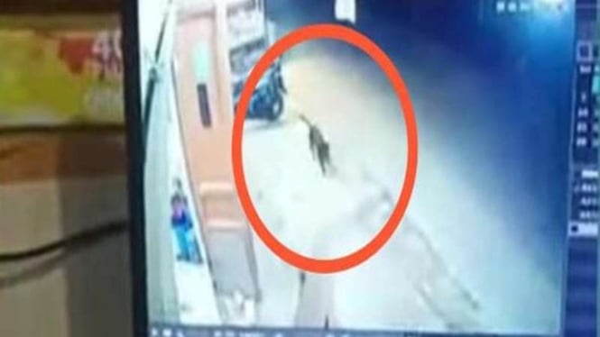 Viral video disebut anjing ngepet di Gowa Sulsel
